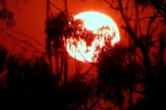 Πόσο «ζεστά» έχουν πάρει οι Έλληνες την Κλιματική Κρίση;