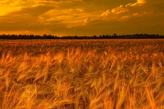 Κλιματική αλλαγή: Ξέρουμε για τι μιλάμε;