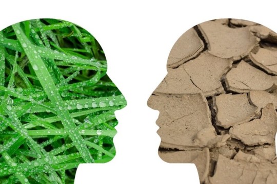 Οι επιπτώσεις της κλιματικής αλλαγής στην ανθρώπινη υγεία